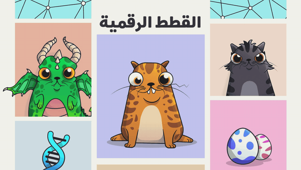 صورة القطط الرقمية