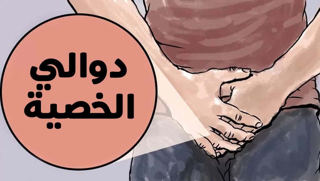 دوالي الخصية Varicocele
