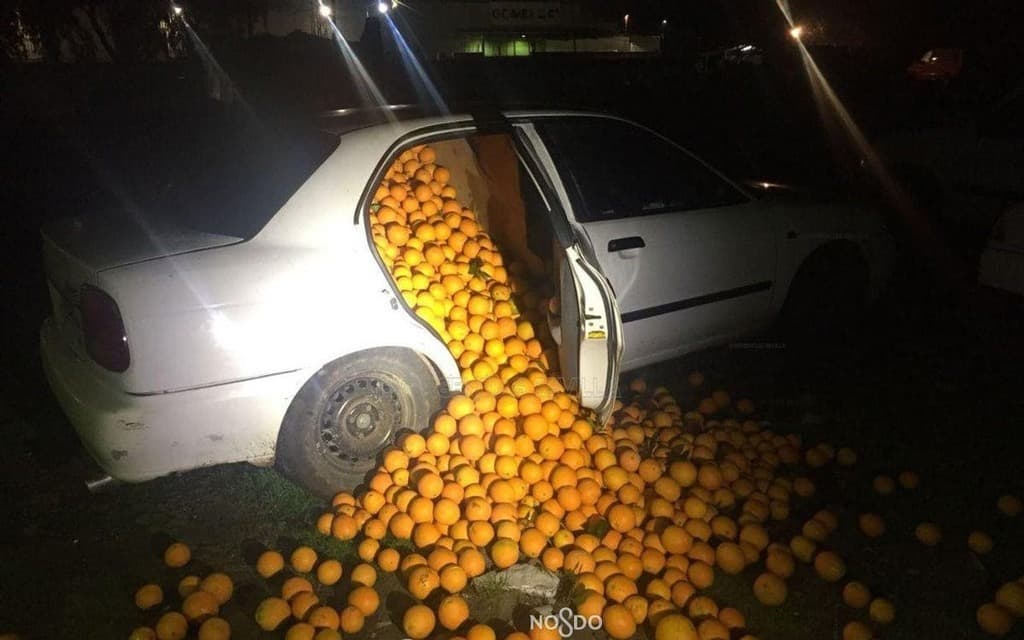 محاولة نقل البرتقال ضمن سيارة