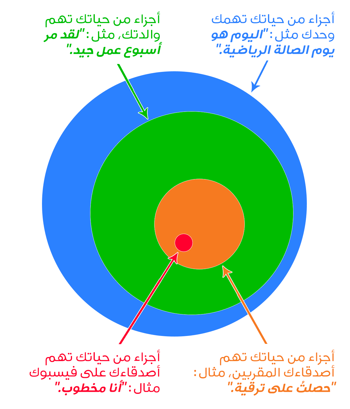 الأزرق= أجزاء من حياتك تهمك وحدك مثل: ”اليوم هو يوم الصالة الرياضية“، الأخضر= أجزاء من حياتك تهم والدتك، مثل: ”لقد مر أسبوع عمل جيد“، البرتقالي= أجزاء من حياتك تهم أصدقاءك المقربين، مثال: ”حصلتُ على ترقية“، الأحمر= أجزاء من حياتك تهم أصدقاءك على الفيسبوك مثال: ”أنا مخطوب“