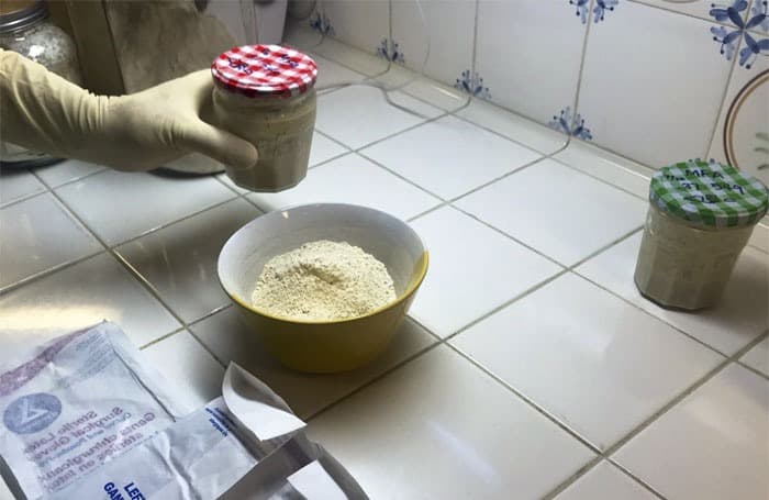 عينات الخميرة العتيقة.