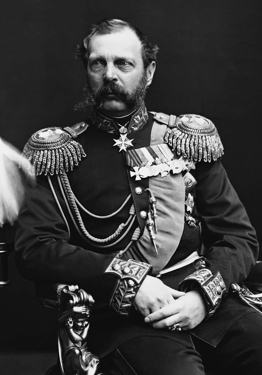 صورة القيصر ألكسندر الثاني، الرسام مجهول (1878-1881). ويكيميديا كومونز