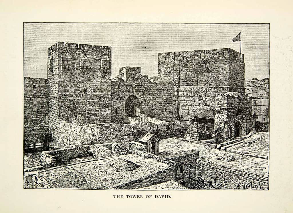 يافا
