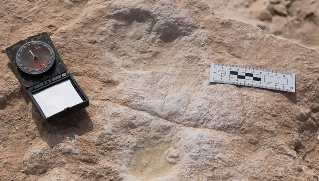 اكتشاف آثار أقدام بشرية في المملكة العربية السعودية قد يصل عمرها إلى 120 ألف عام