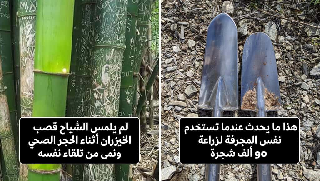 50 شخصًا يُشاركون صورًا لما سيحدث إن فعلت ما فعلوه
