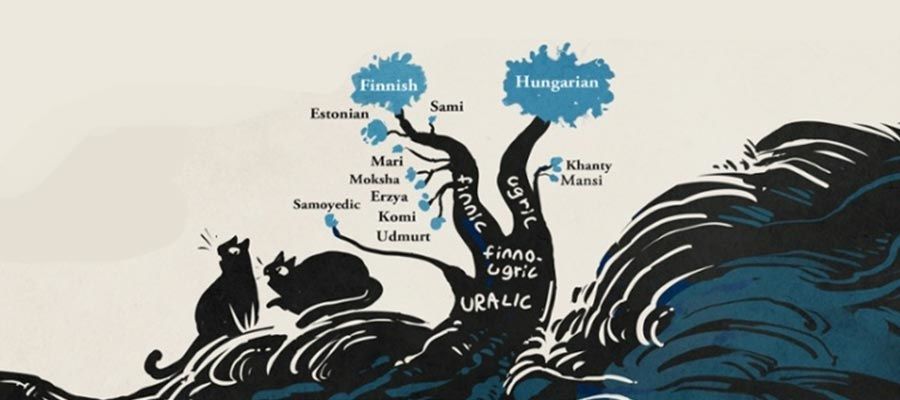 فرع من الشجرة التطورية يوضح تطور اللغة الفلندية