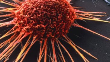 خلية السرطان