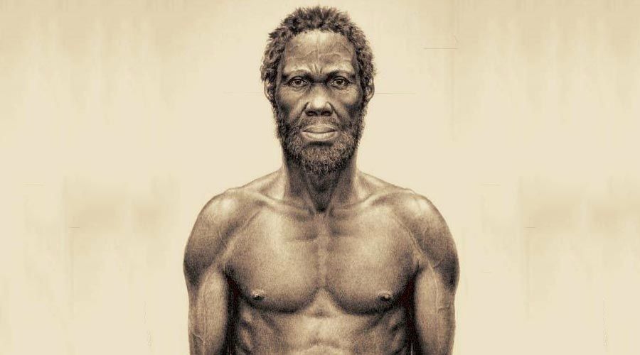 الإنسان العاقل الأول. عاش منذ حوالي 160 ألف سنة في افريقيا