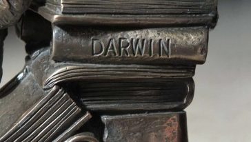 قرد داروين