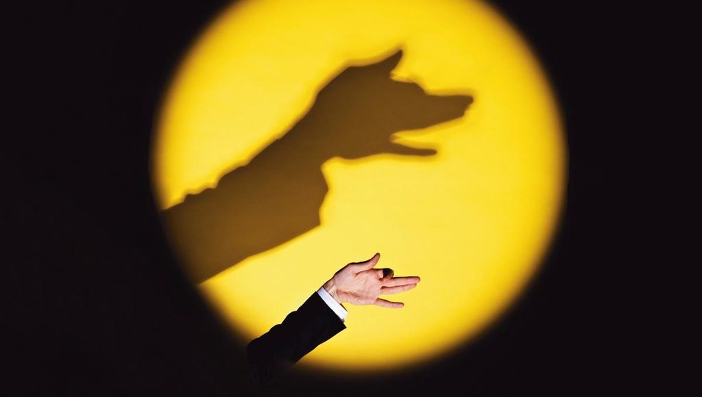 صورة كلب في الظل