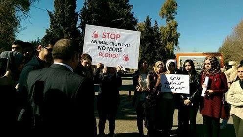 تنظيم احتجاج بسيط من قبل الطلبة