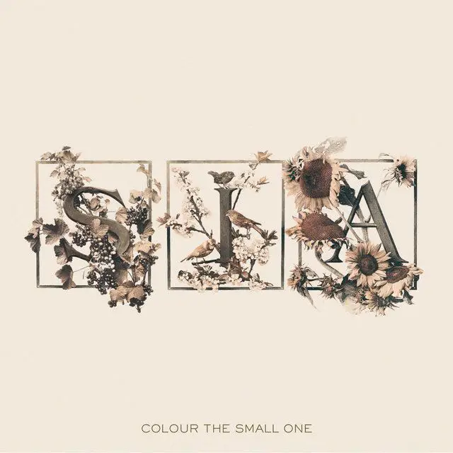 غلاف ألبوم سيا الثالث ”Colour The Small One“