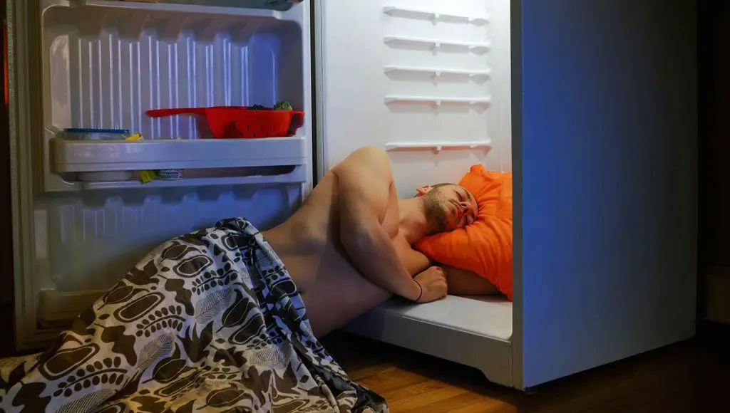 النوم داخل الثلاجة