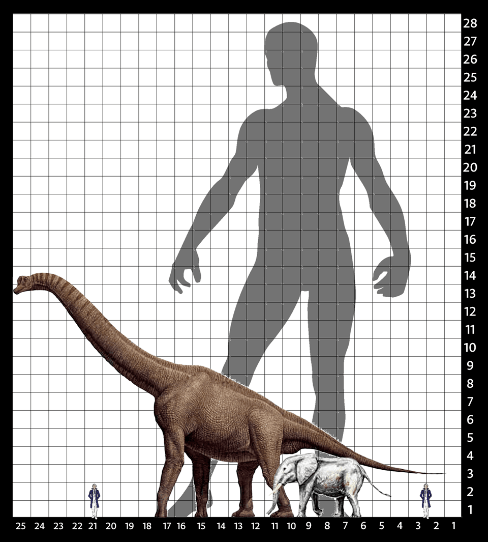 ضخامة آدم مقارنة بالأباتوصور (نوع من أنواع الصوروبودات) والفيل والإنسان الطبيعي (الأبعاد بالمتر)