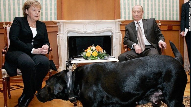 الرئيس الروسي بوتين وكلبته السوداء مع انجيلا ميركل