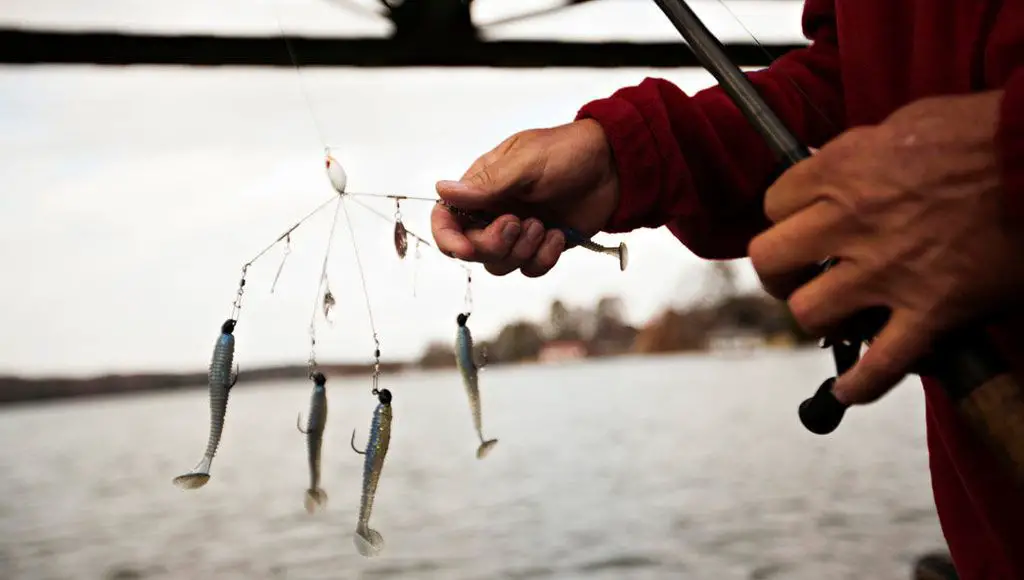 طعم لصيد الأسماك لا يقاوم لدرجة تم منع إستعماله في مسابقات صيد الأسماك