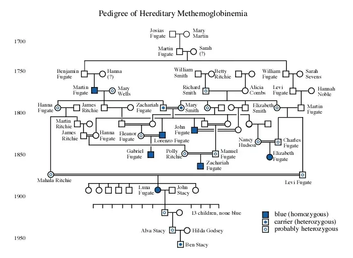 الخارطة الوراثية لعائلة (فاغيت) بالنسبة لصفة الميتهيموغلوبين