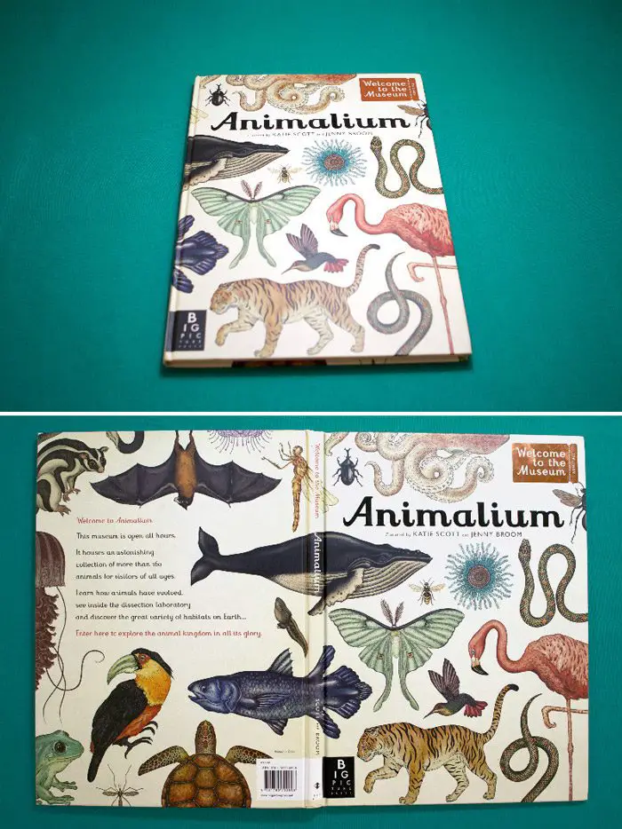 كتاب (أنيماليوم) Animalium لكاتبتيه (كايتي سكوت) و(جيني برووم)