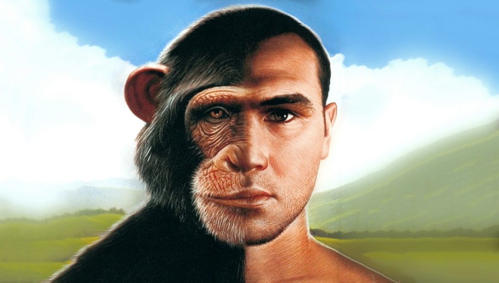 إنسان وقرد يتشاركان وجها واحدا