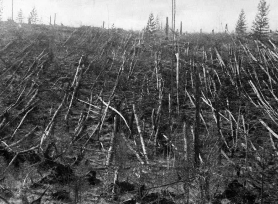 الغابة السيبيرية التي احترقت بفعل الانفجار الذي وقع في (تونغوسكا)