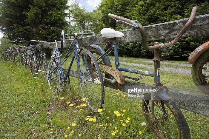 دراجات هوائية قديمة تزين هذا السياج الخشبي في (إنغلوود)، (بليموث).