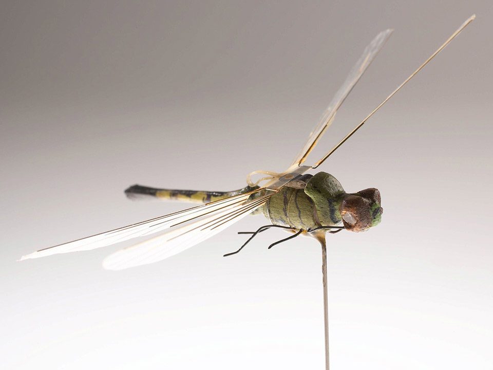 طائرة آلية بحجم حشرة، أو ما أطلق عليه اسم (إنساكتوثوبتر) Insectothopter في سبعينيات القرن الماضي