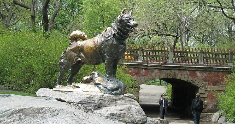 تمثال (بالتو) في متنزه (سنترال بارك) في (نيويورك)