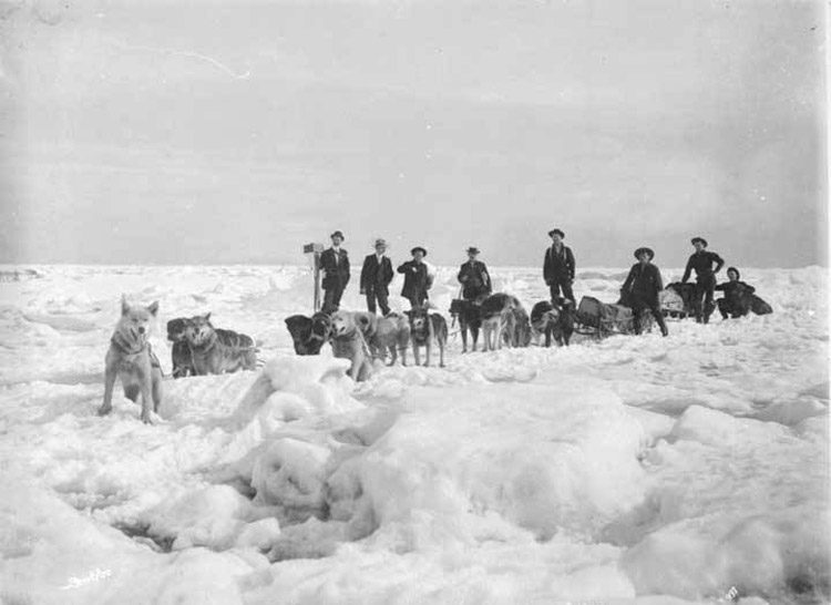 صورة تعود لبدايات القرن العشرين لزلاجات تجرها الكلاب في (ألاسكا)