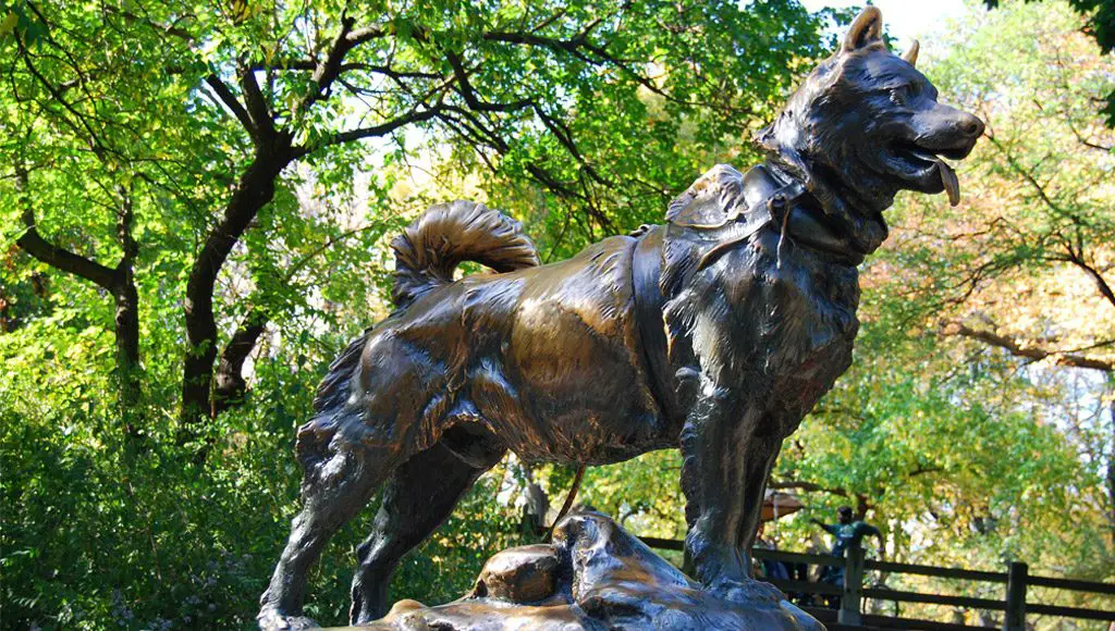 تمثال الكلب (بالتو) البطل في نيويورك