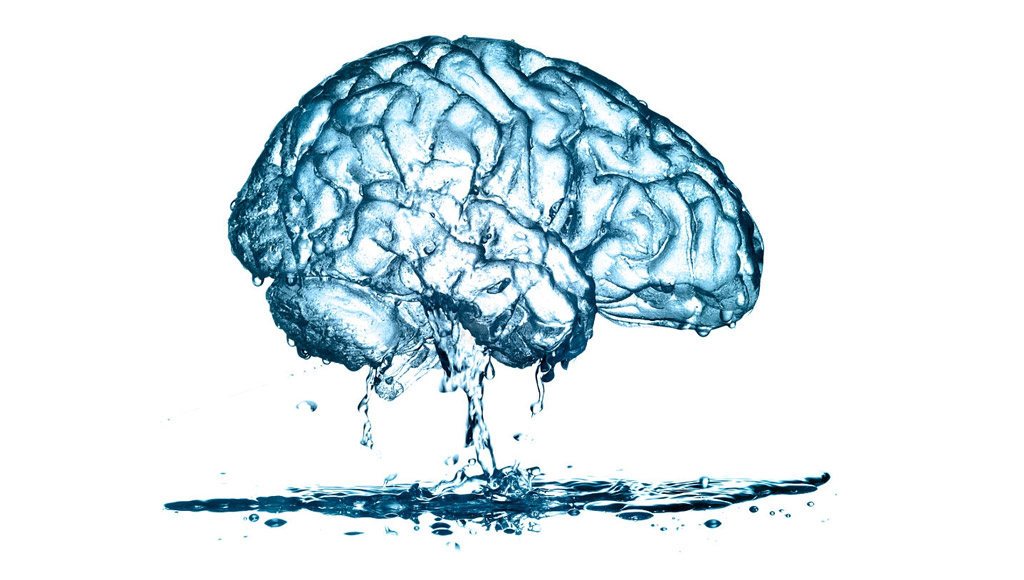 دماغ بشري من المياه