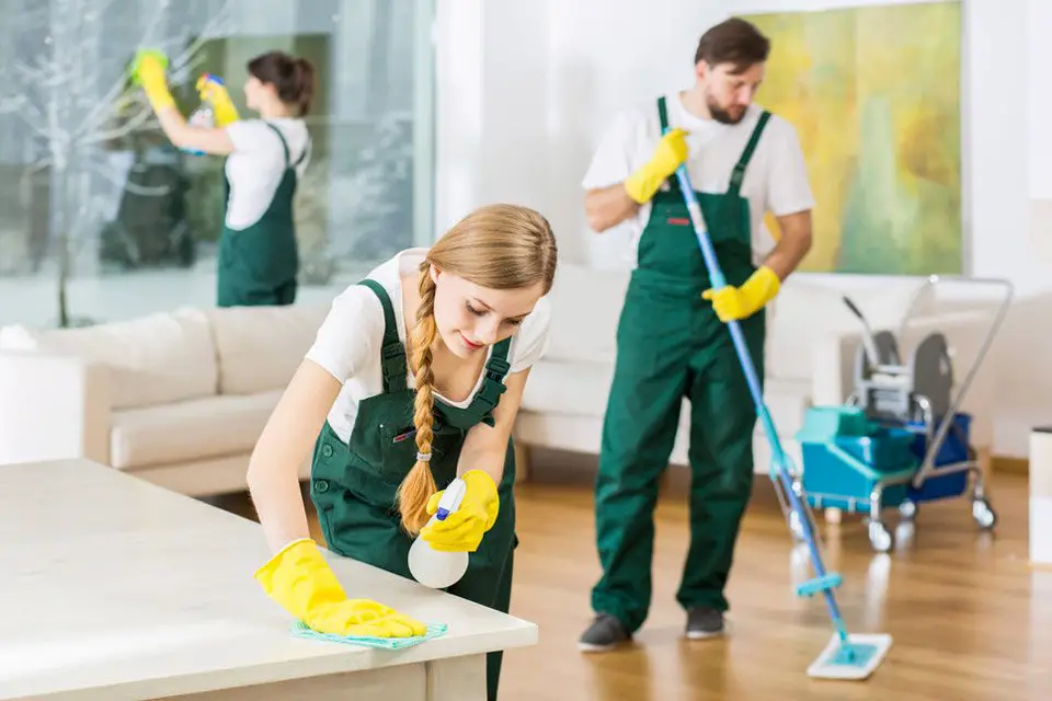 خدمة التنظيف المنزلي