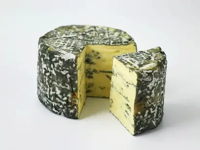 ثوري مندوب طبيعة  15 نوعاً من أغلى أنواع الجبنة في العالم