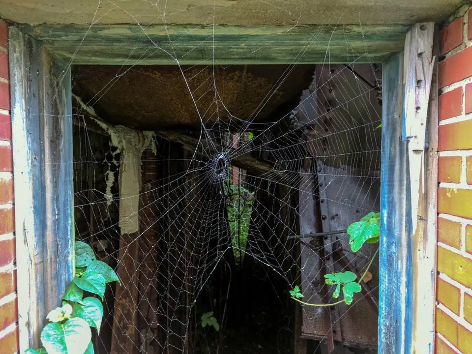 مبنى مهجور به شبكة عنكبوت كبيرة