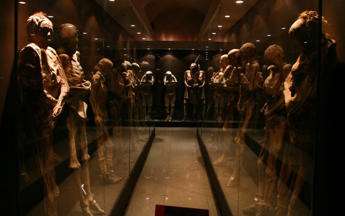 متحف المومياء.