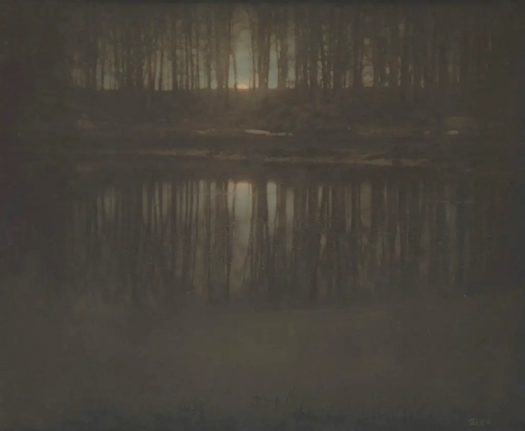 صورة: The Pond – Moonlight