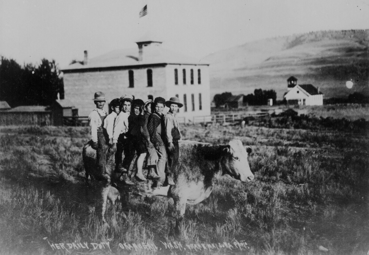 بقرة تحمل سبعة أطفال في طريقهم إلى المدرسة في (أوكانوغان) في (واشنطن) سنة 1907. ورد في وصف الصورة الأصلي أن توصيل الأطفال إلى المدرسة هو ”واجب هذه البقرة اليومي“.