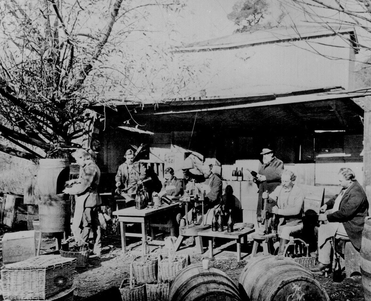 رجال يضعون سدادات الفلين على زجاجات الشمبانيا في (سونوما) في (كاليفورنيا) بين سنتي 1870 و1879.
