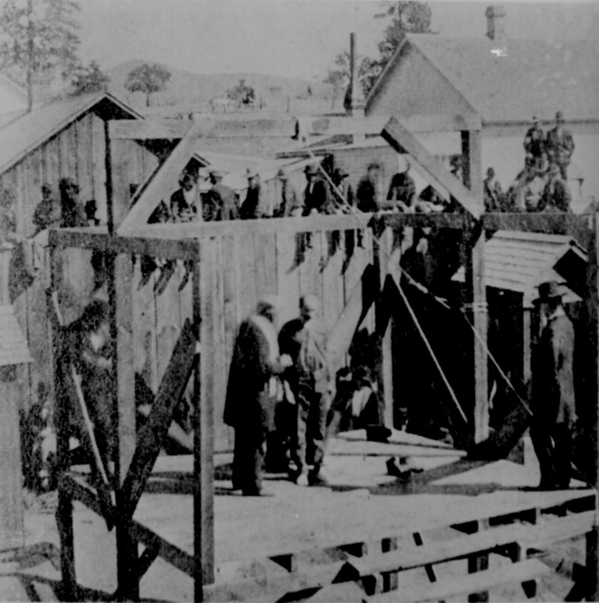 عملية إعدام أحد المجرمين شنقا في (بريسكوت) في (أريزونا) سنة 1877.