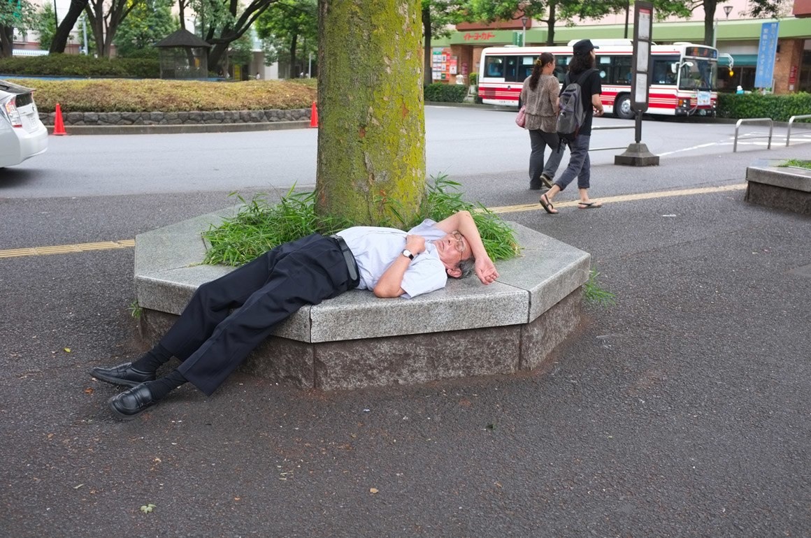 رجل نائم فوق حوض شجرة في (طوكيو)