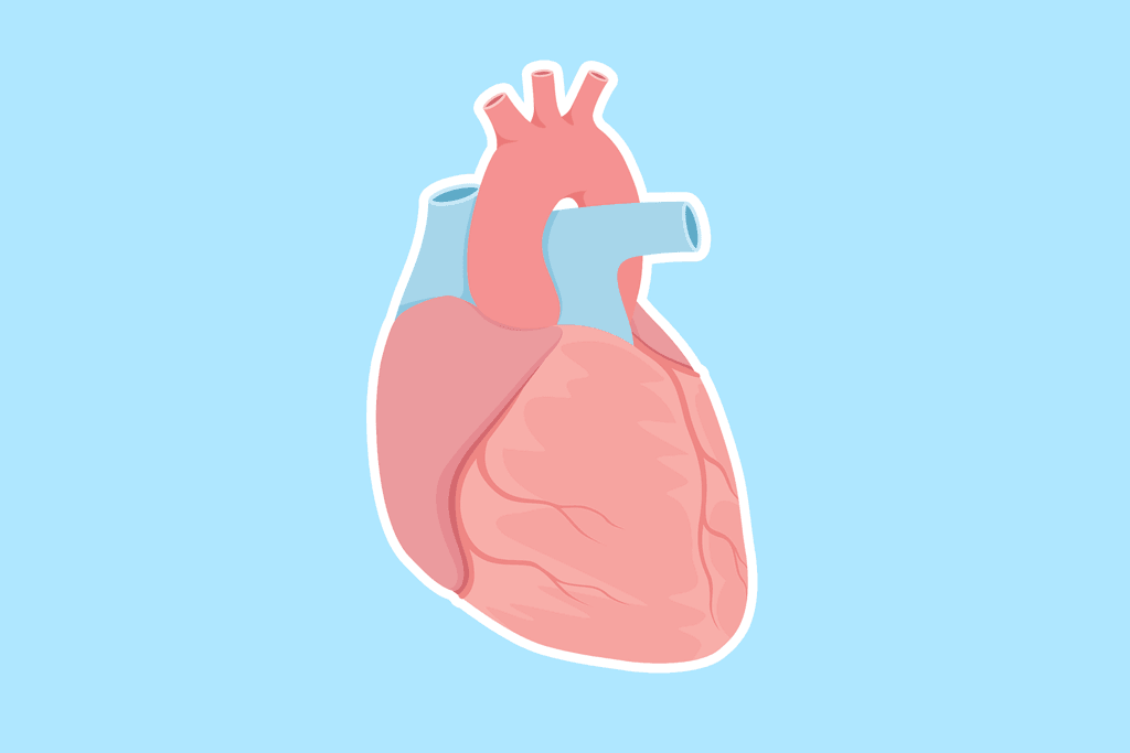 استشيري طبيبكِ إذا زاد معدل ضربات القلب لديكِ.
