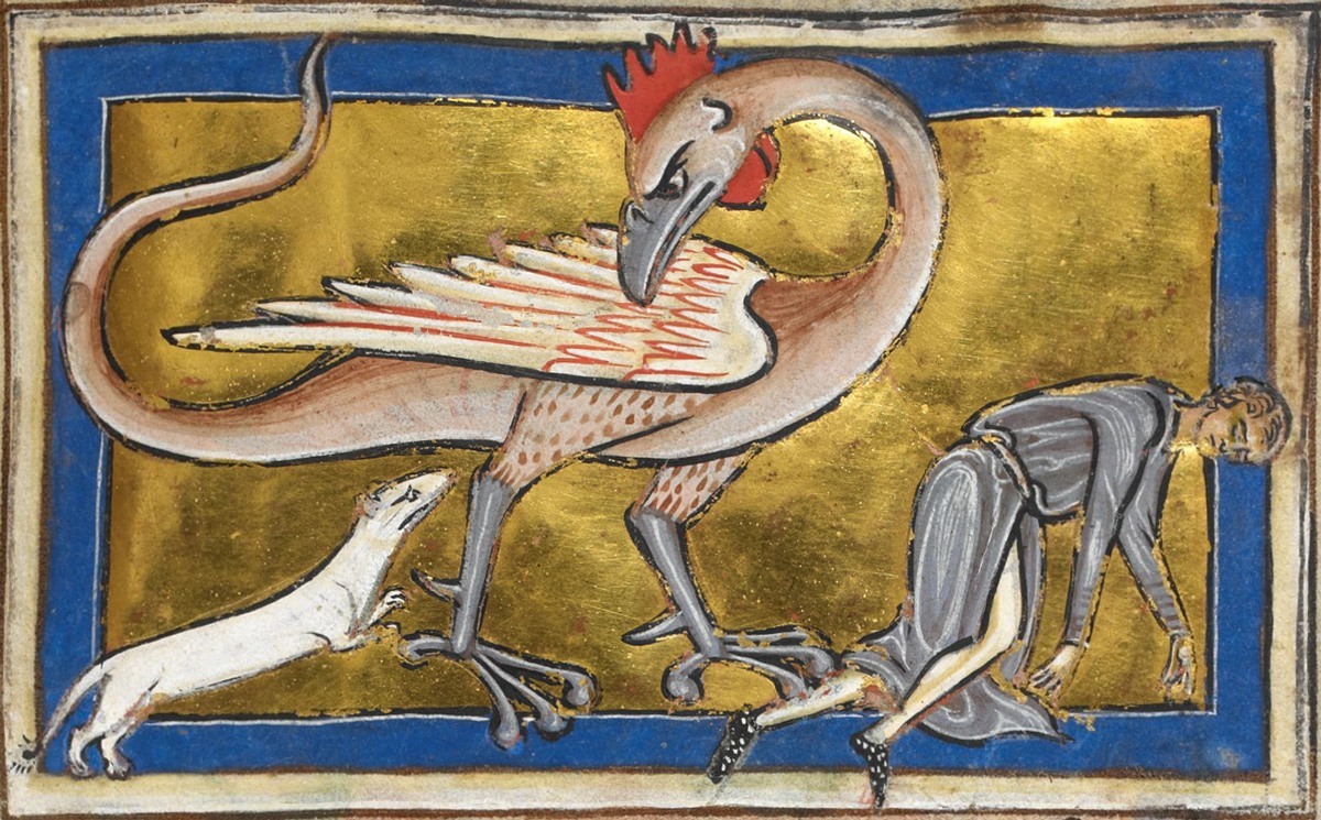 لوحة تصور الباسيليسك وتعود للقرن الثالث عشر - العصور الوسطى