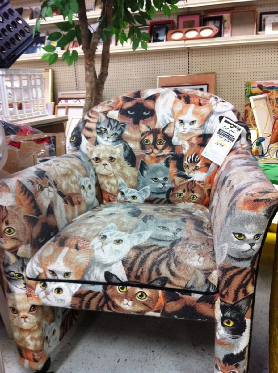 كرسي مغطى برسمات قطط مختلفة الأشكال والألوان