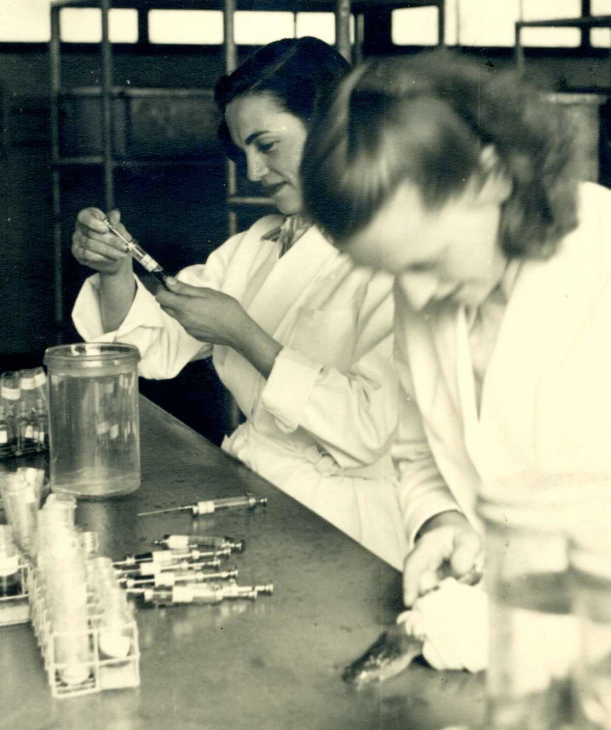 نساء في المختبرات