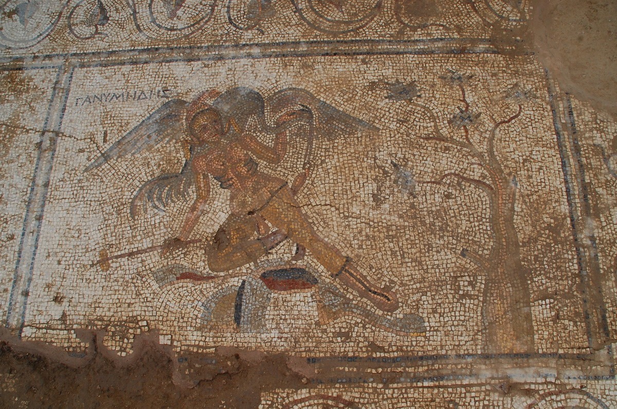 يظهر (غانيميديس) في هذه الفسيسفاء وهو يحمل عصا واسفنجة موضوعة على نهايتها، بينما يبرز (جوبيتر) في نفس المشهد على أنه طائر المالك الحزين.