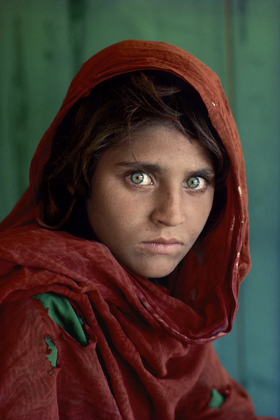(شربات غولا)، من فتاة أفغانية لاجئة إلى أيقونة عالمية.