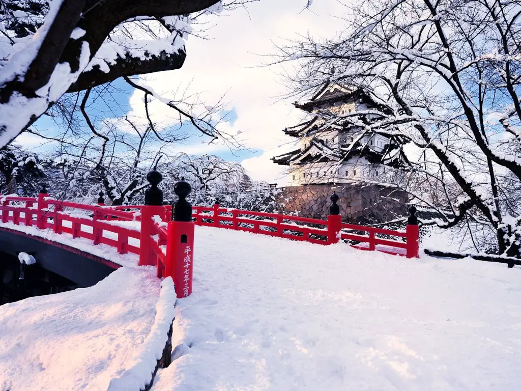 الثلوج في مدينة (آوموري) في اليابان