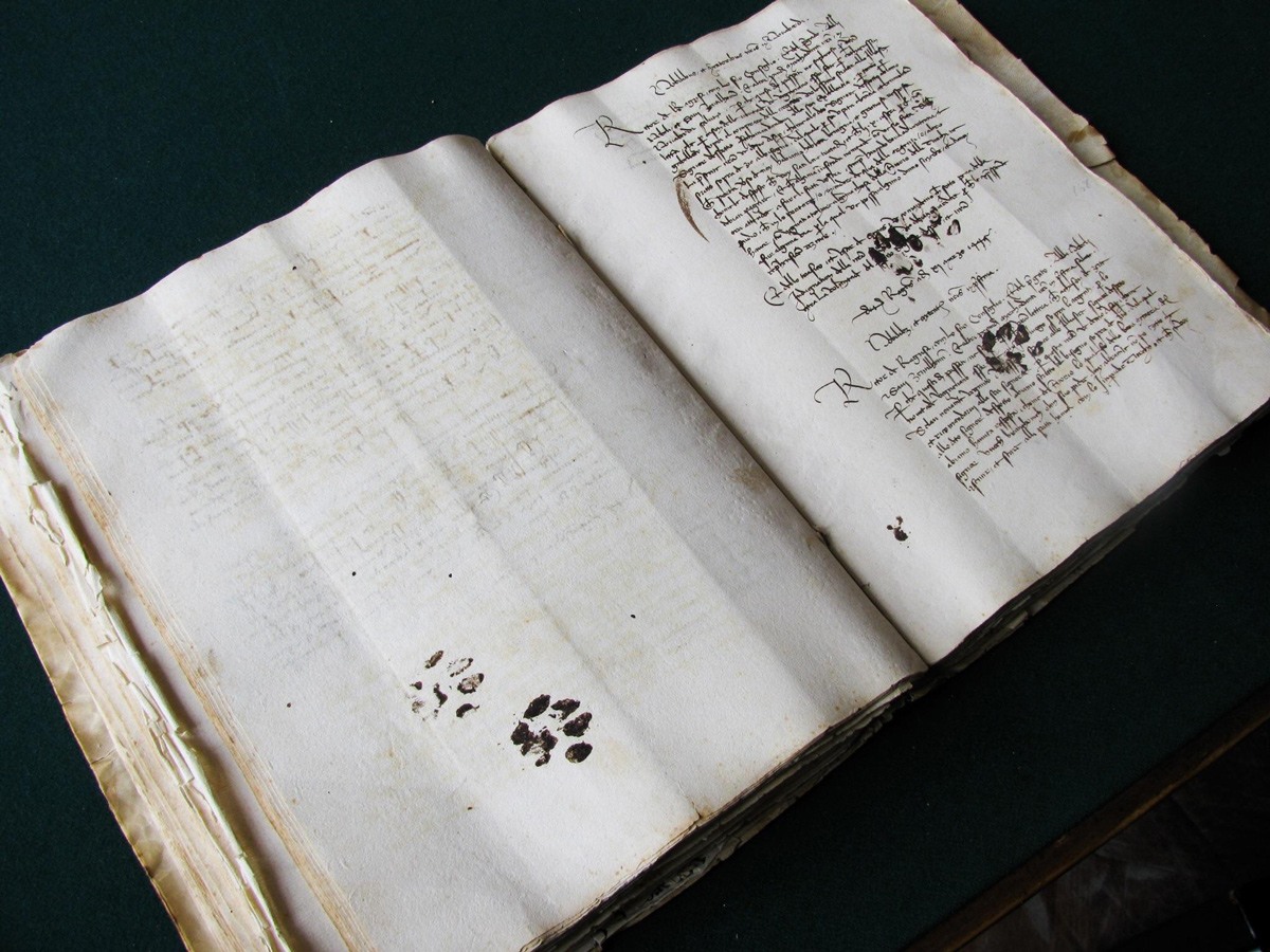 كتاب من العصور الوسطى به آثار قائمة قطة