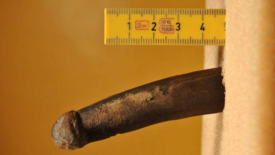 منحوتة قضيب اصطناعي من قرن وعل اكتشفت في السويد ويعود تاريخها إلى العصر الحجري (6000 إلى 5000 قبل الميلاد).