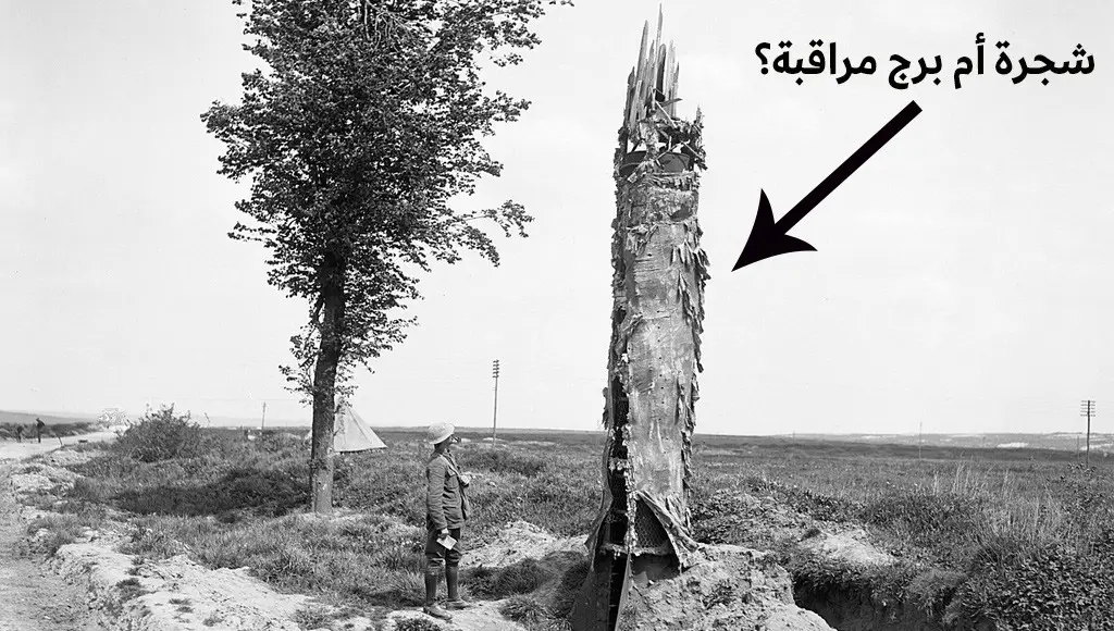 أبراج المراقبة في الحرب العالمية الثانية على شكل أشجار