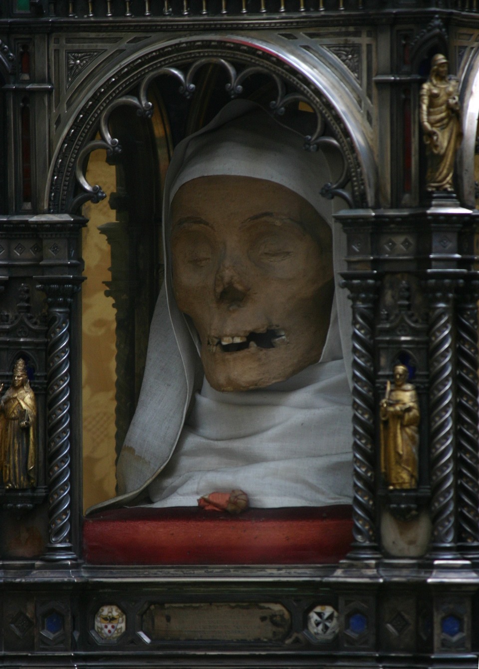 رأس القديسة (كاثرين) المبتور، في بلدتها الأم (سيينا).